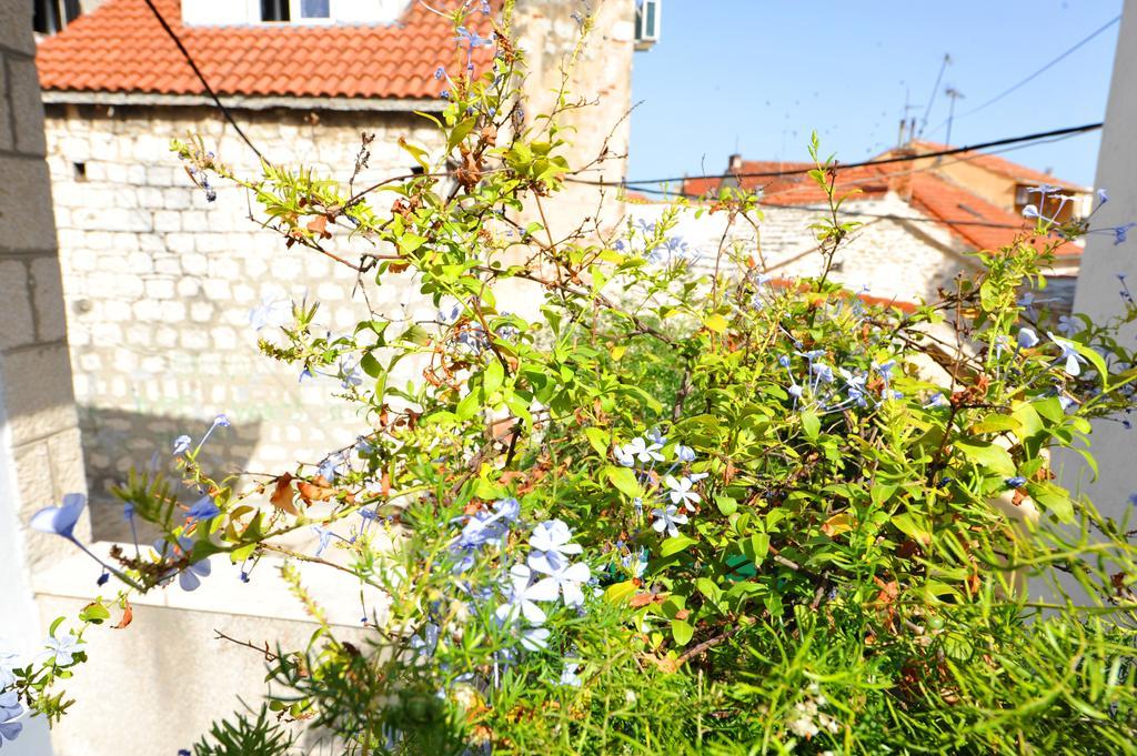 Apartman Branka Split Zewnętrze zdjęcie